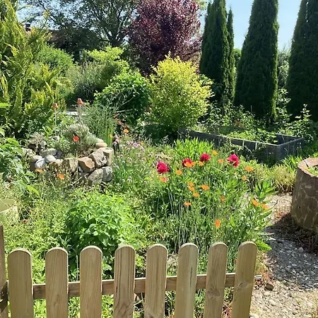 Der Birkenhof-ried *